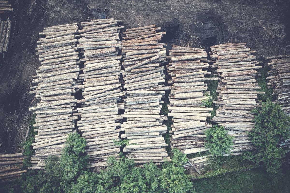 Why Logging Every Trade Is the Best Cure for Memecoin FOMO in 2026
