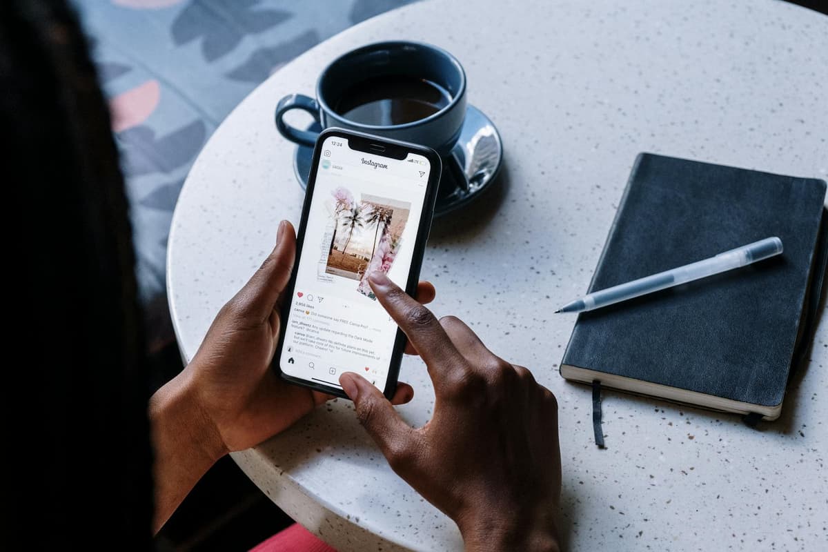 MemeLogs: When Social Hype Diverges from On-Chain Volume in 2026